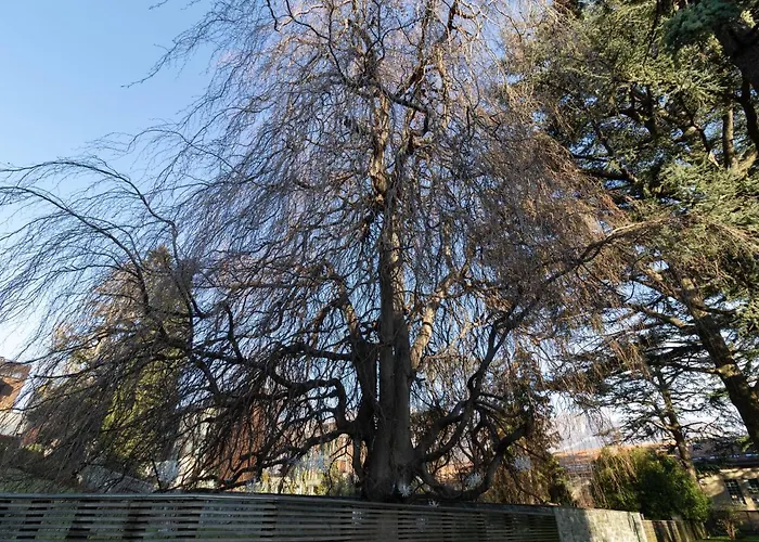 Mamma Ciccia - Ecofriendly On Villa *